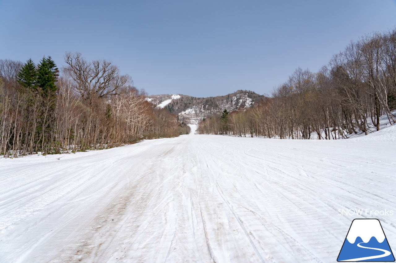 キロロリゾート｜初夏の陽気に耐えて、何とかGWまで持ってくれたキロロの雪…。さぁ、キロロゴンドラに乗って、山頂から山麓まで続く全長4,000ｍ超のロングランを楽しみましょう！